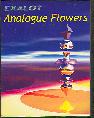 ANALOGUE FLOWERS