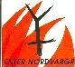 ENTER NORDVARGR: FOLKSTORM (UNRELEASED, REMIXED, DEMO)/ PROJECTS