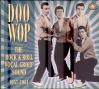 DOO-WOP - THE ROCK & ROLL VOCAL GROUP SOUND