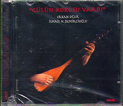 GULUN KOKUSU VARDI