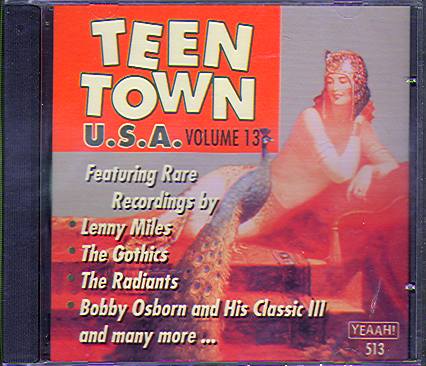 TEEN TOWN USA VOL 13