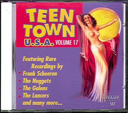 TEEN TOWN USA VOL 17