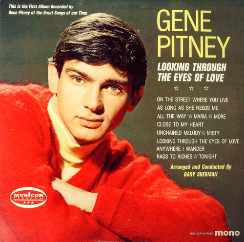 LOOKING THROUGH THE EYES OF LOVE