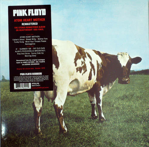 ATOM HEART MOTHER