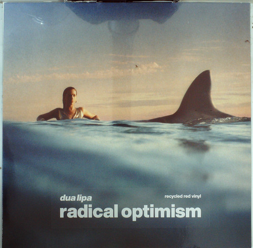 RADICAL OPTIMISM