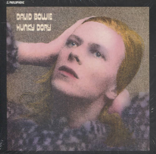 HUNKY DORY